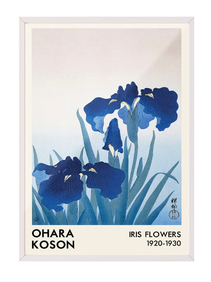 Ohara Koson'un derin mavi iris çiçeklerini tasvir eden, Japon ukiyo-e tarzı sanatsal poster.