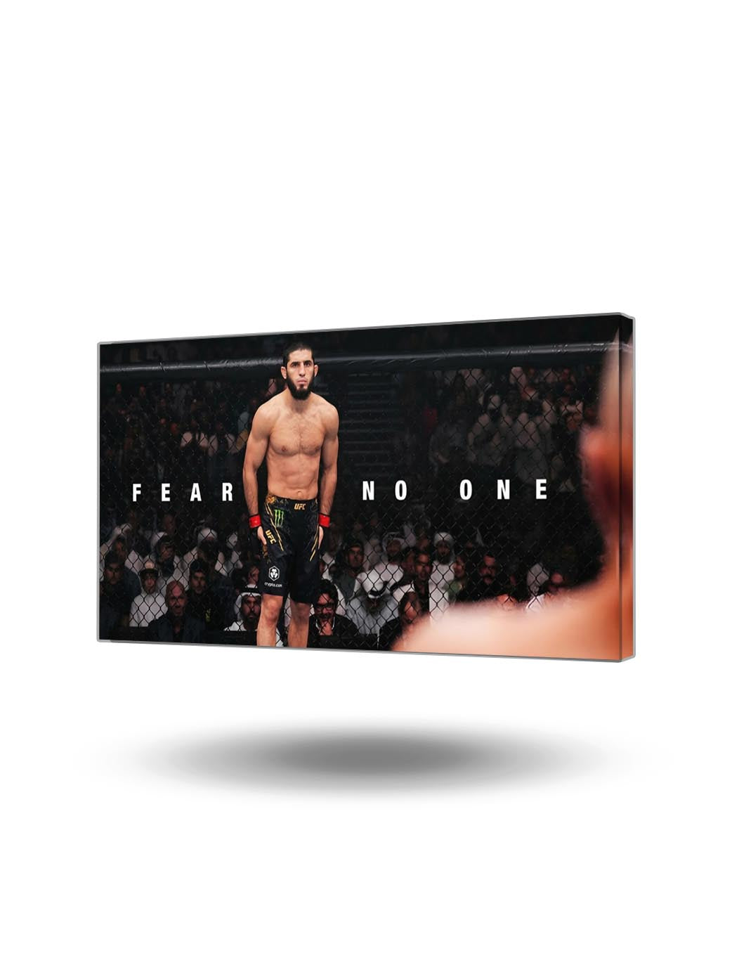 MMA dövüşçüsü Islam Makhachev'in kafeste durduğu, 'Fear No One' yazılı motivasyon kanvas tablo.