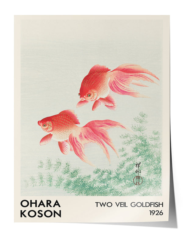Ohara Koson'un 1926 tarihli, iki pembe tül kuyruk Japon balığı ve yeşil su bitkileri içeren sanatsal posteri.