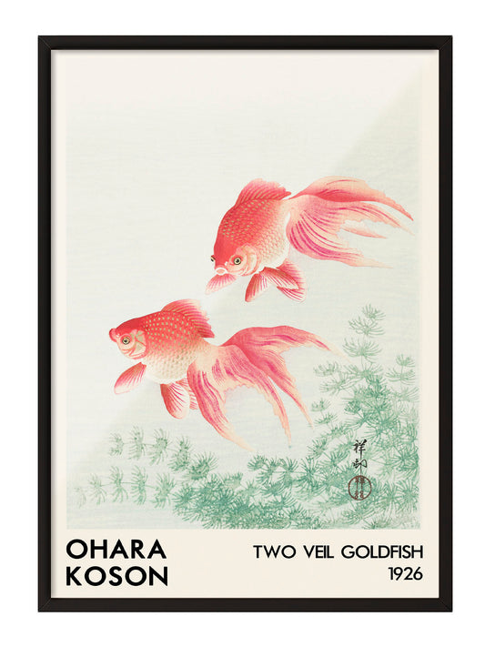 Ohara Koson'un 1926 tarihli, iki pembe tül kuyruk Japon balığı ve yeşil su bitkileri içeren sanatsal posteri.